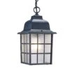 Acclaim Lighting Nautica Collection Hanging Lantern 1-Light Outdoor Matte Black Light Fixture -Safavieh Winkel Acclaim Lighting Nautica Collection Hanging Lantern 1 Light Outdoor Matte Black Light Fixture c782b1c5 b53b 4842 a37d b5ac87651ddf