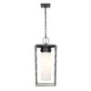 Z-LIte Sheridan 1 Light Outdoor Chain Mount Ceiling Fixture - Black -Safavieh Winkel Sheridan 1 Light Outdoor Chain Mount Ceiling Fixture