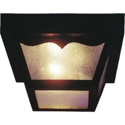 Safavieh Winkel -Safavieh Winkel Volume Lighting 1 Light Black Outdoor Flush Mount 1